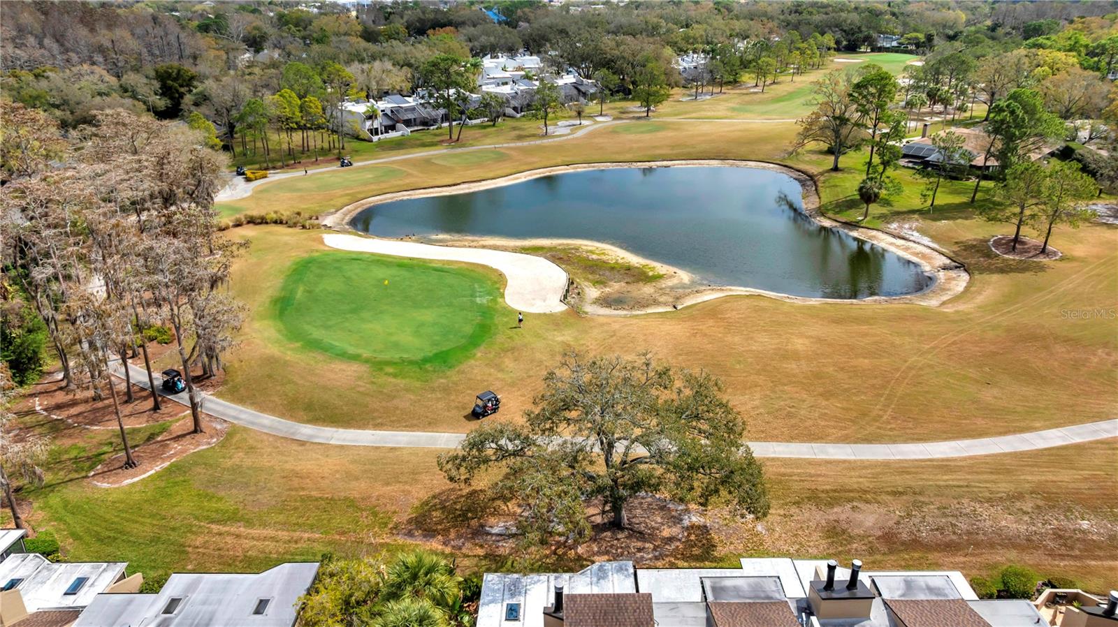 CARROLLWOOD VILLAGE ROLLING GR - Residential