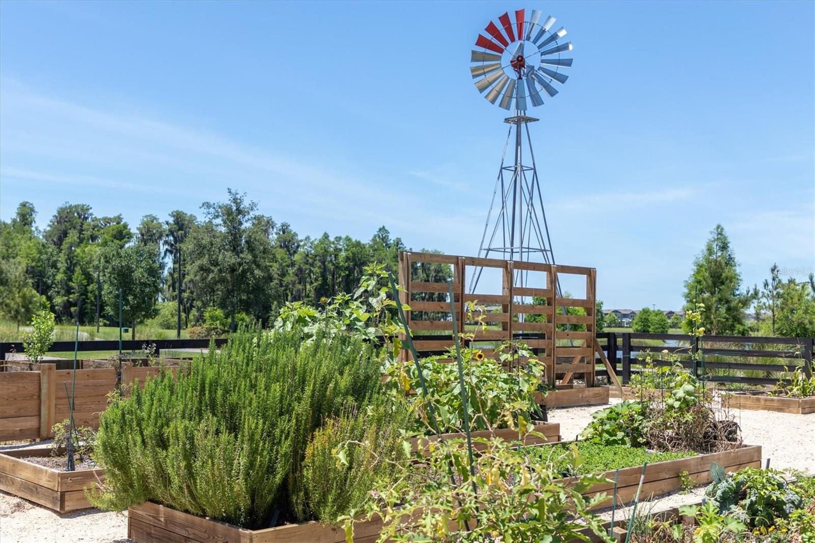STARKEY RANCH VILLAGE 2 PH 1A - Residential