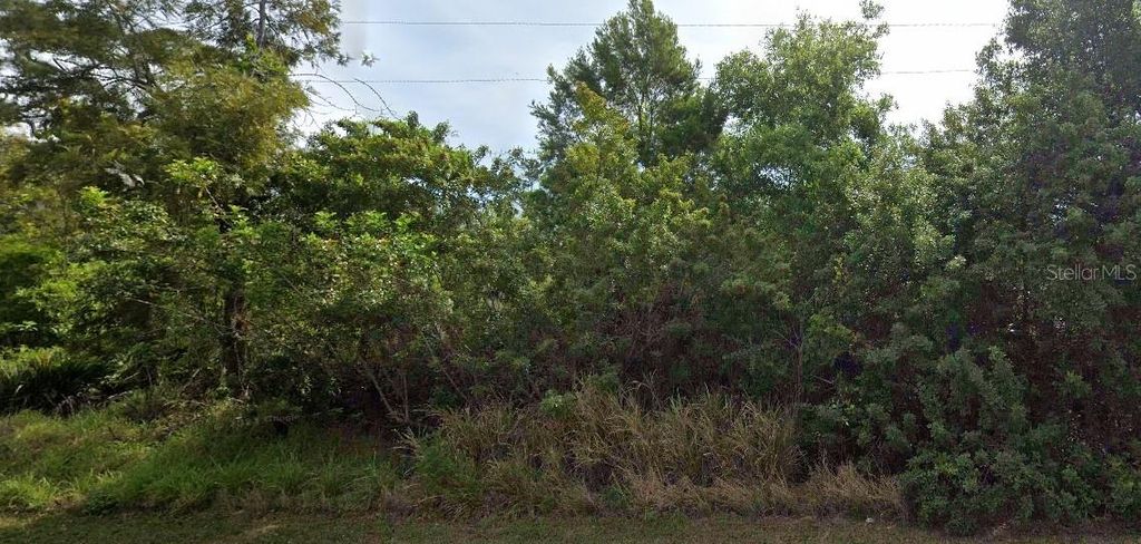 Photo of 412 Respect Drive, Lake Placid, FL 33852 (MLS # O6303881)
