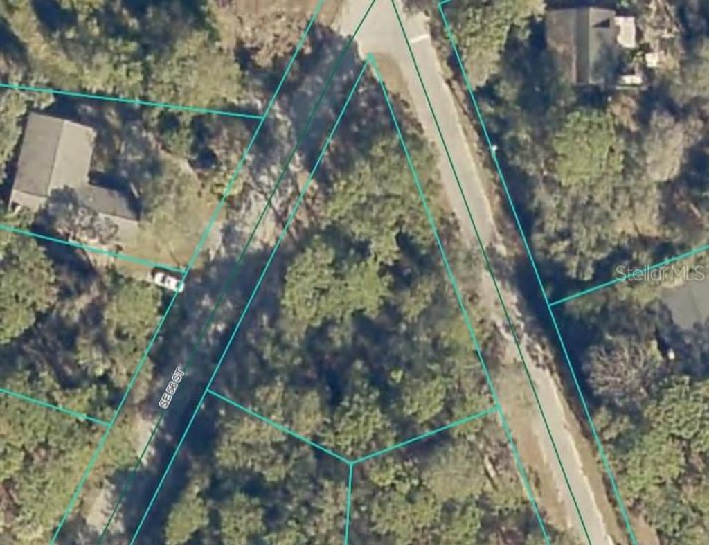 Photo of SE 56th Street, Ocklawaha, FL 32179 (MLS # OM707137)