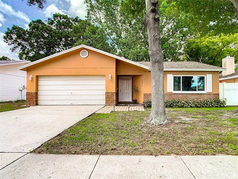 A home in PALM HARBOR