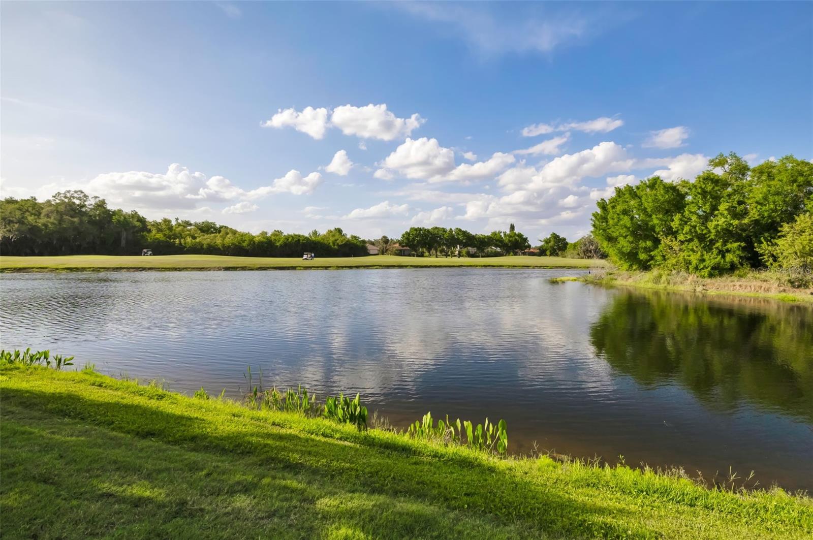 WATERLEFE GOLF & RIVER CLUB - Residential