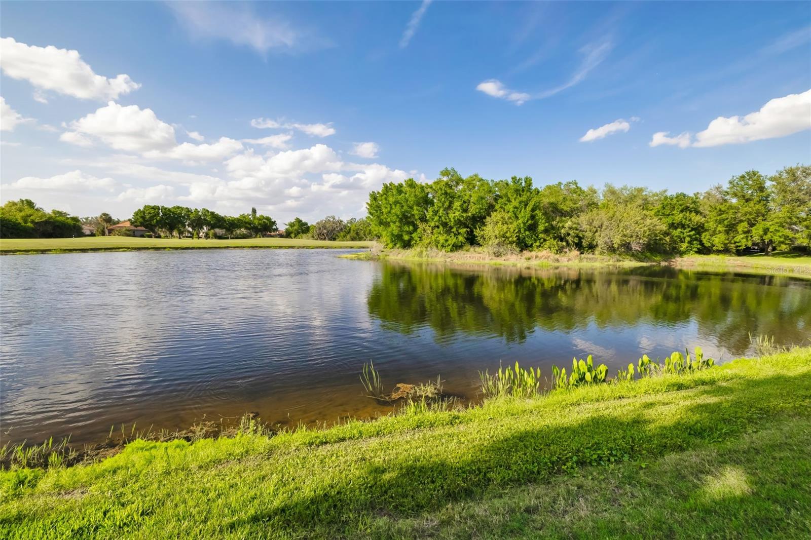 WATERLEFE GOLF & RIVER CLUB - Residential