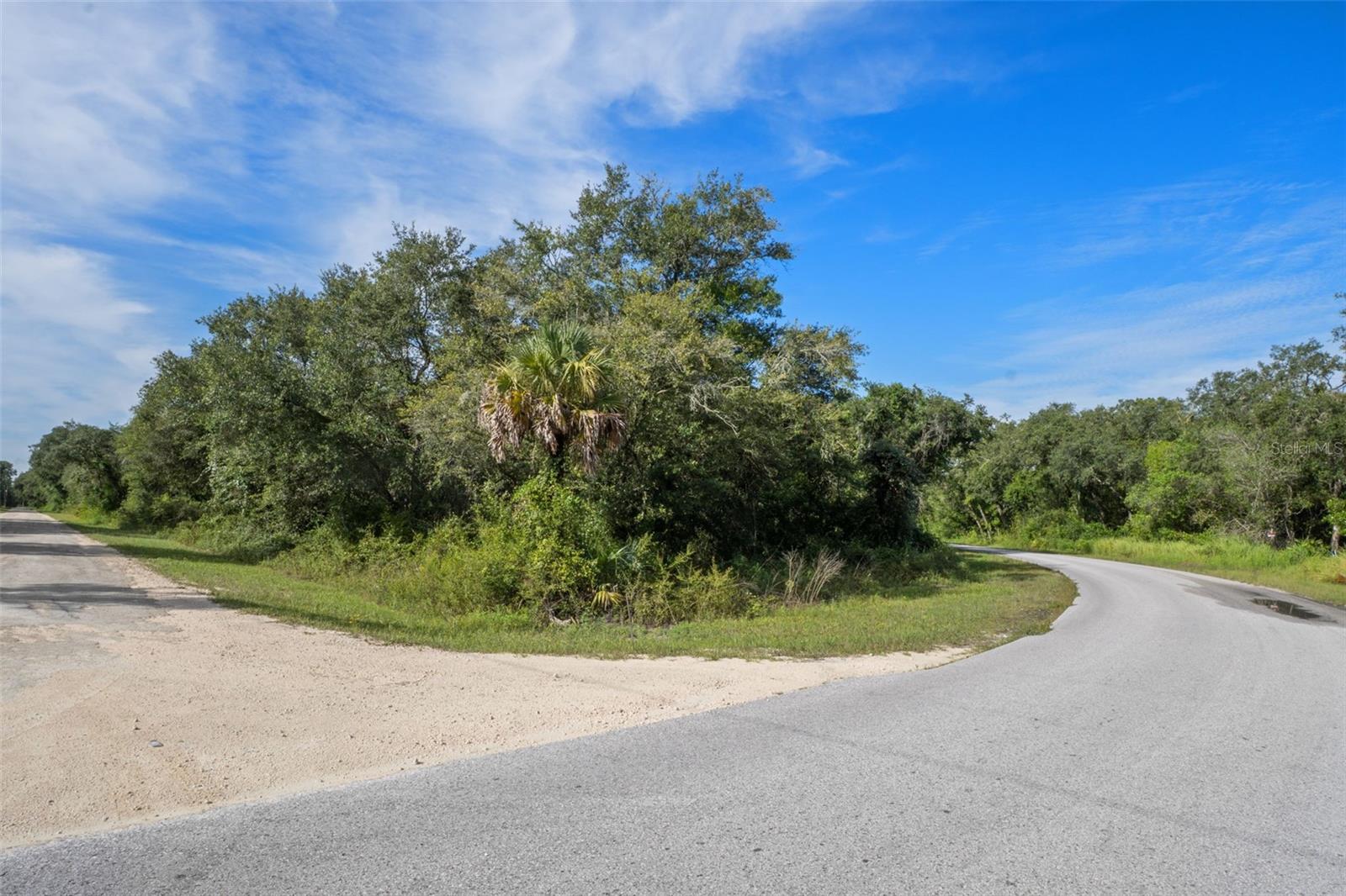 RIDGE MANOR ESTATE - Land