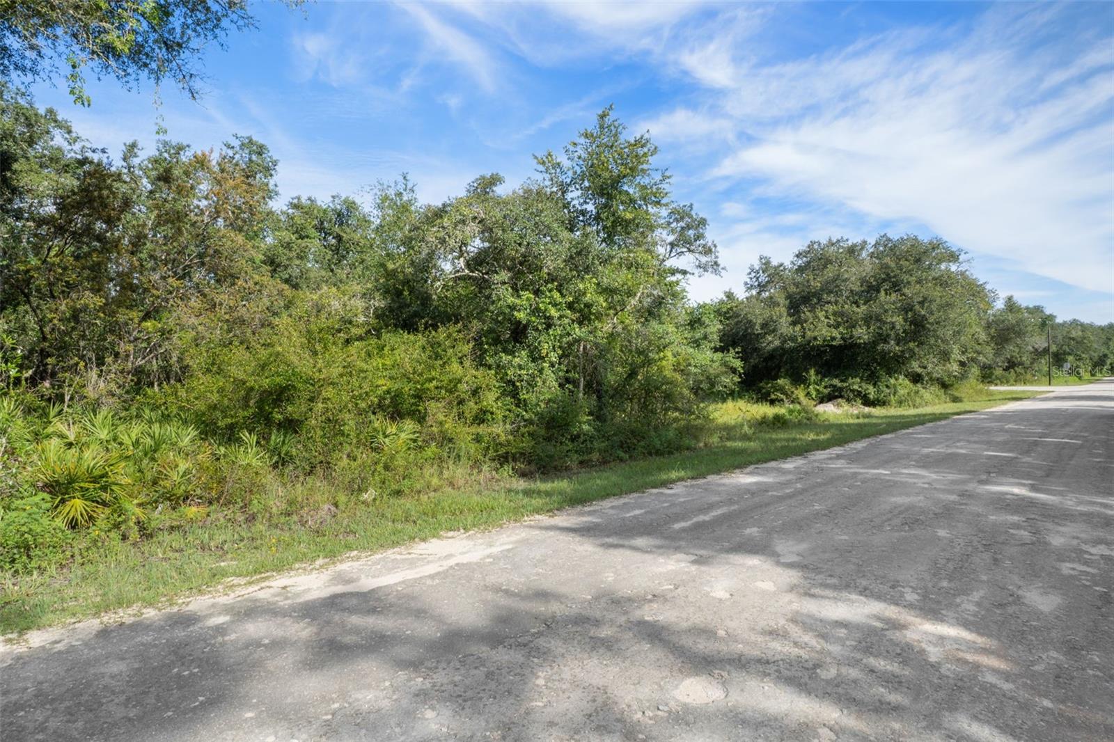 RIDGE MANOR ESTATE - Land