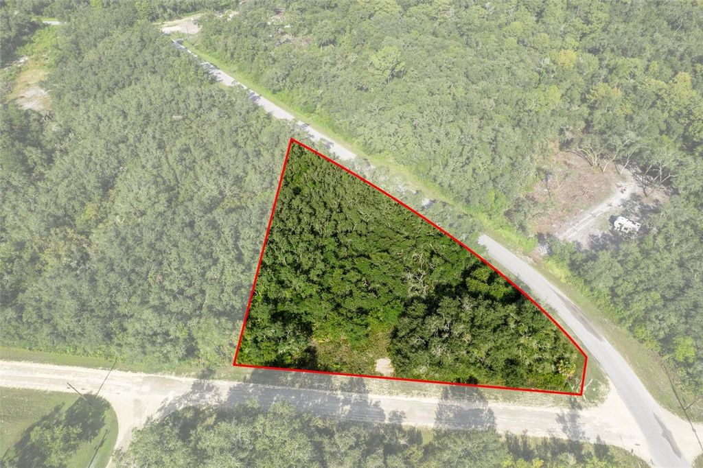 Photo of Bigelow Avenue, Webster, FL 33597 (MLS # W7878052)