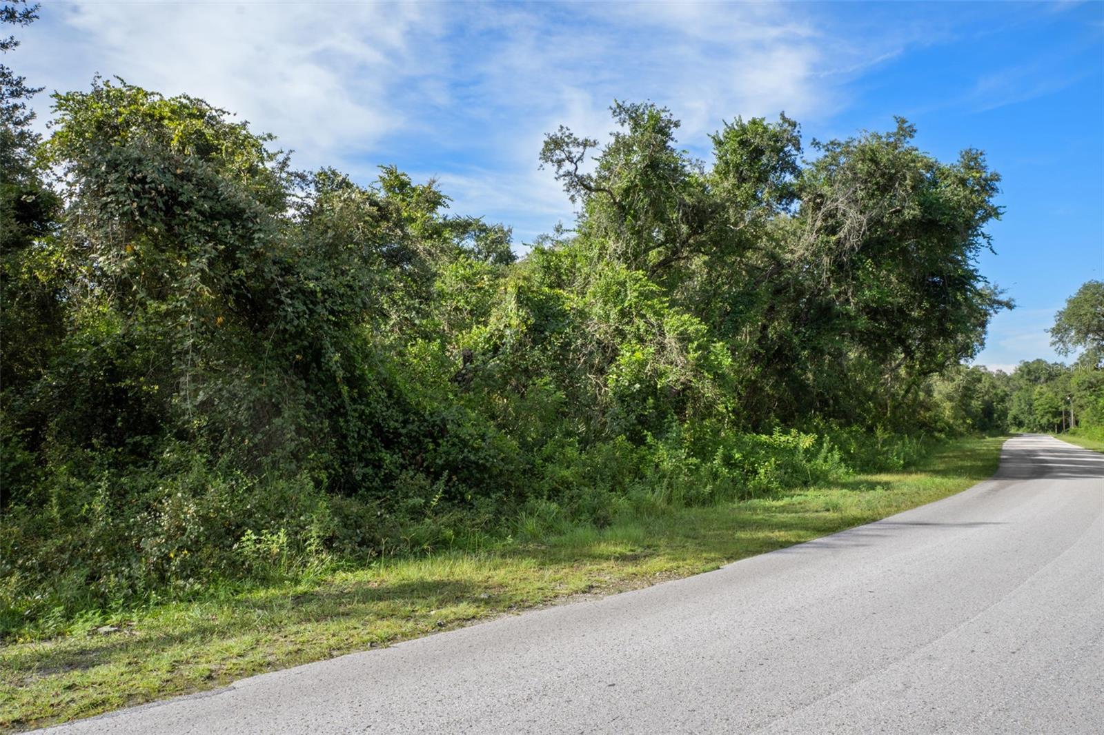 RIDGE MANOR ESTATE - Land