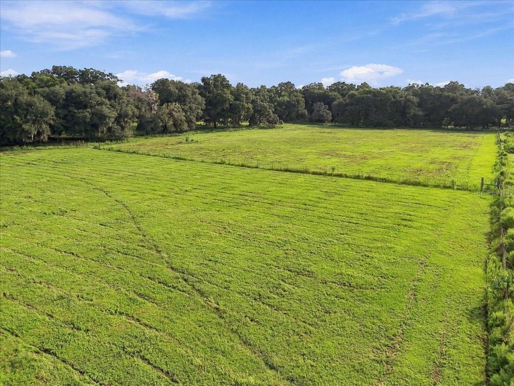 Photo of 39410 Sparkman Road, Dade City, FL 33525 (MLS # L4965066)
