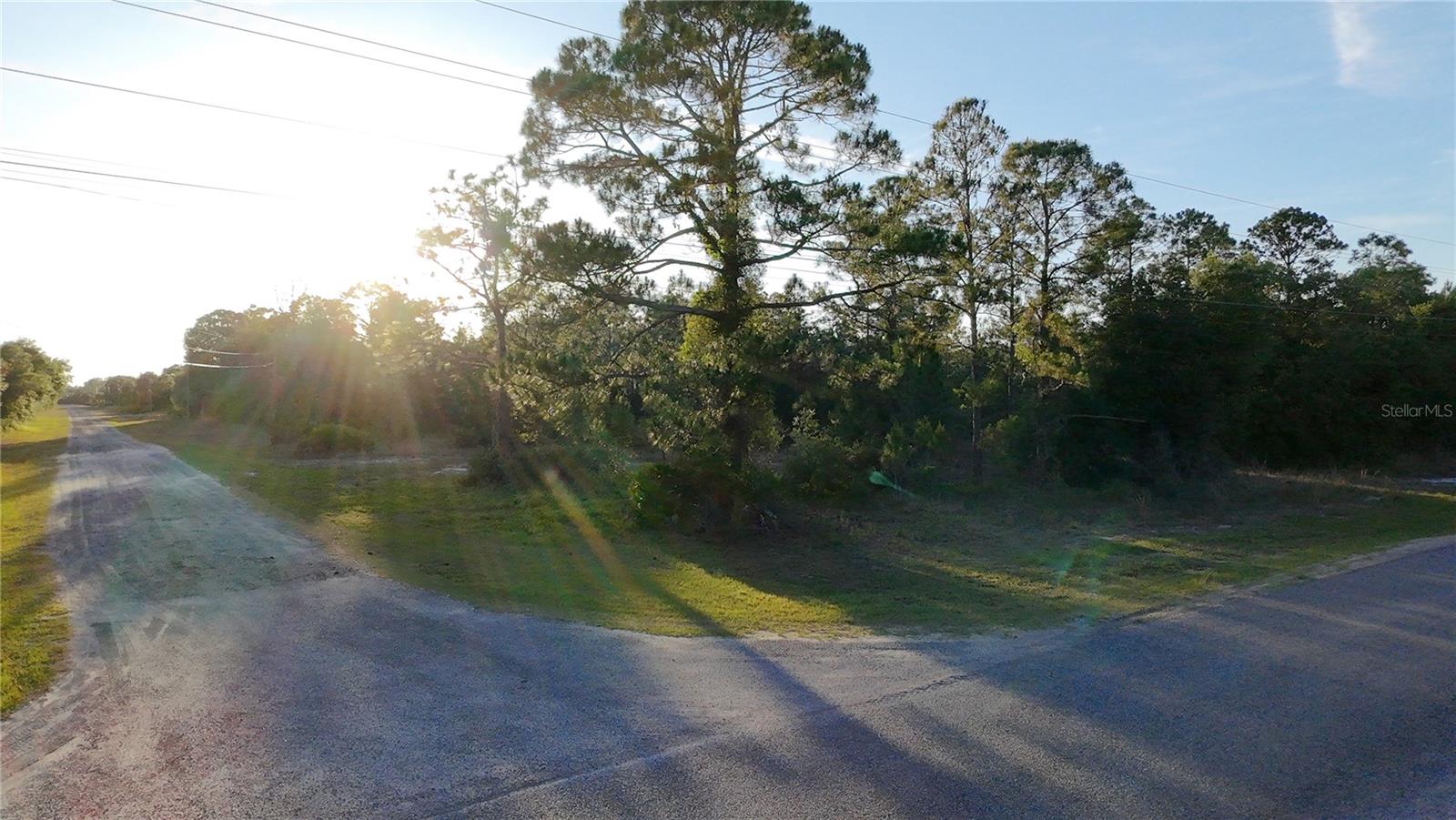 INDIAN LAKE ESTATES - Land
