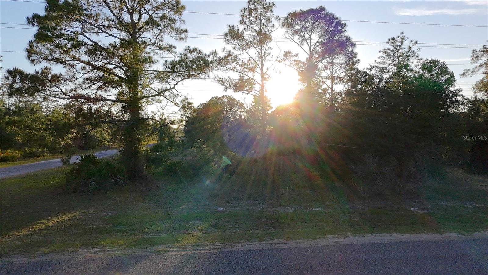 INDIAN LAKE ESTATES - Land