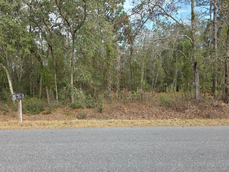 Double lot for sale in beautiful Ocala Florida.  Lot is splitable into 2 individual lots. High, dry and flat 150 ft x 135 ft. Septic needed.  Good opportunity to purchase 2 lots for 1 price.