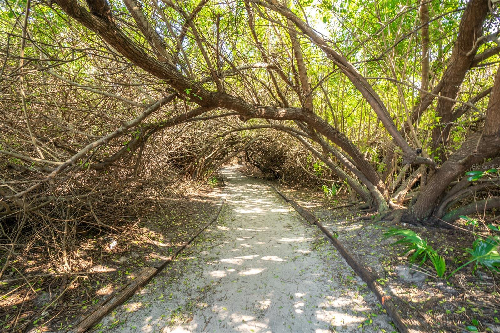 OCEAN WOODS STAGE 10-C - Residential