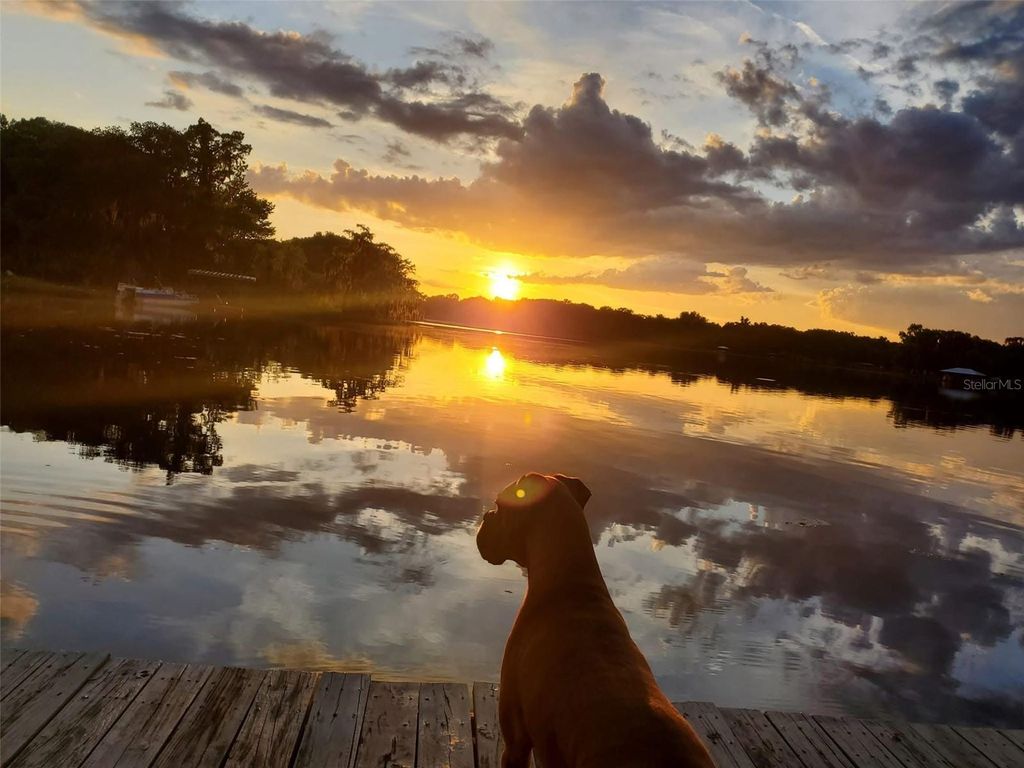 Photo of 6670 S Merleing Loop, Floral City, FL 34436 (MLS # W7884977)