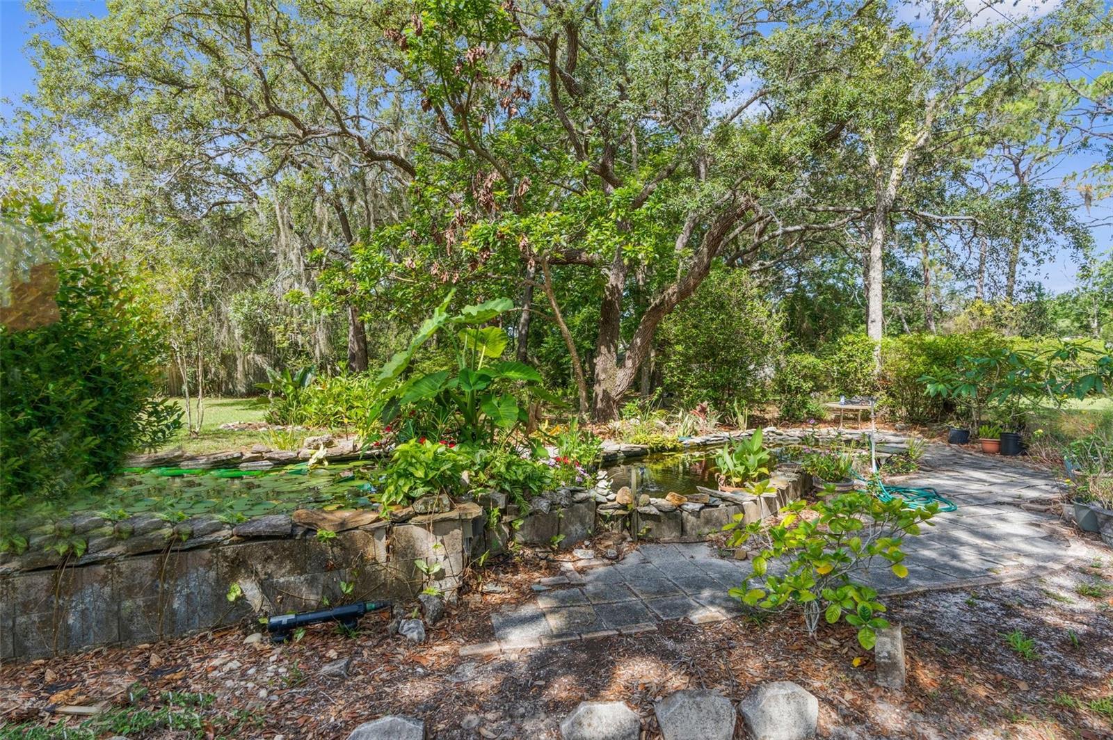 3373 OLSON ROAD