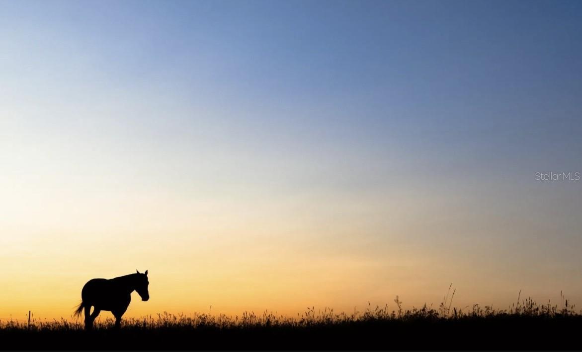 PINE RIDGE UNIT 01 - Residential