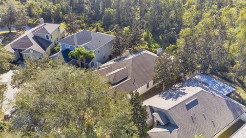 A home in LAND O LAKES