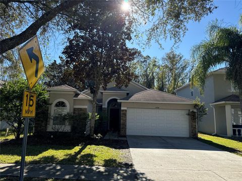 A home in LAND O LAKES