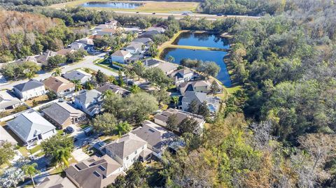 A home in LAND O LAKES