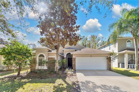 A home in LAND O LAKES