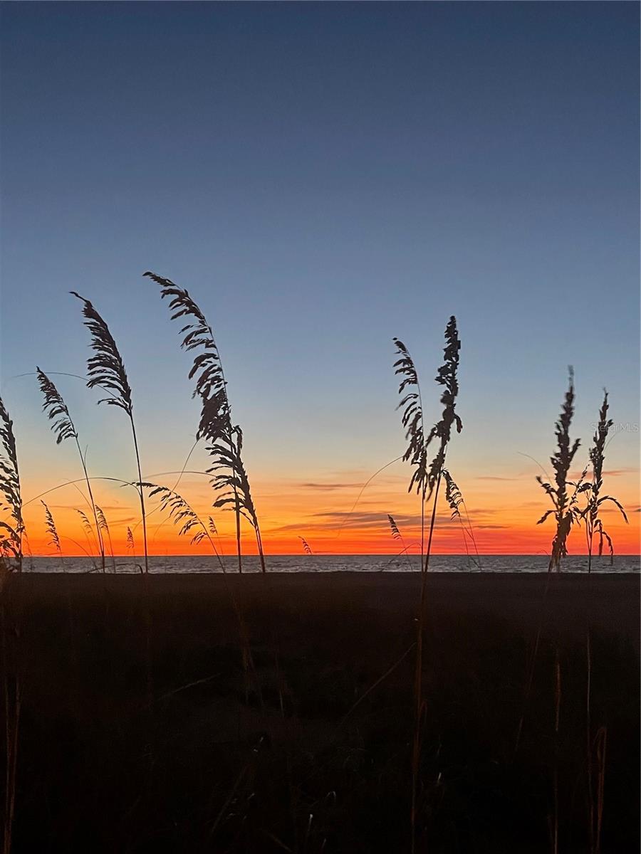 LIGHTHOUSE TOWERS CONDO - Residential Lease