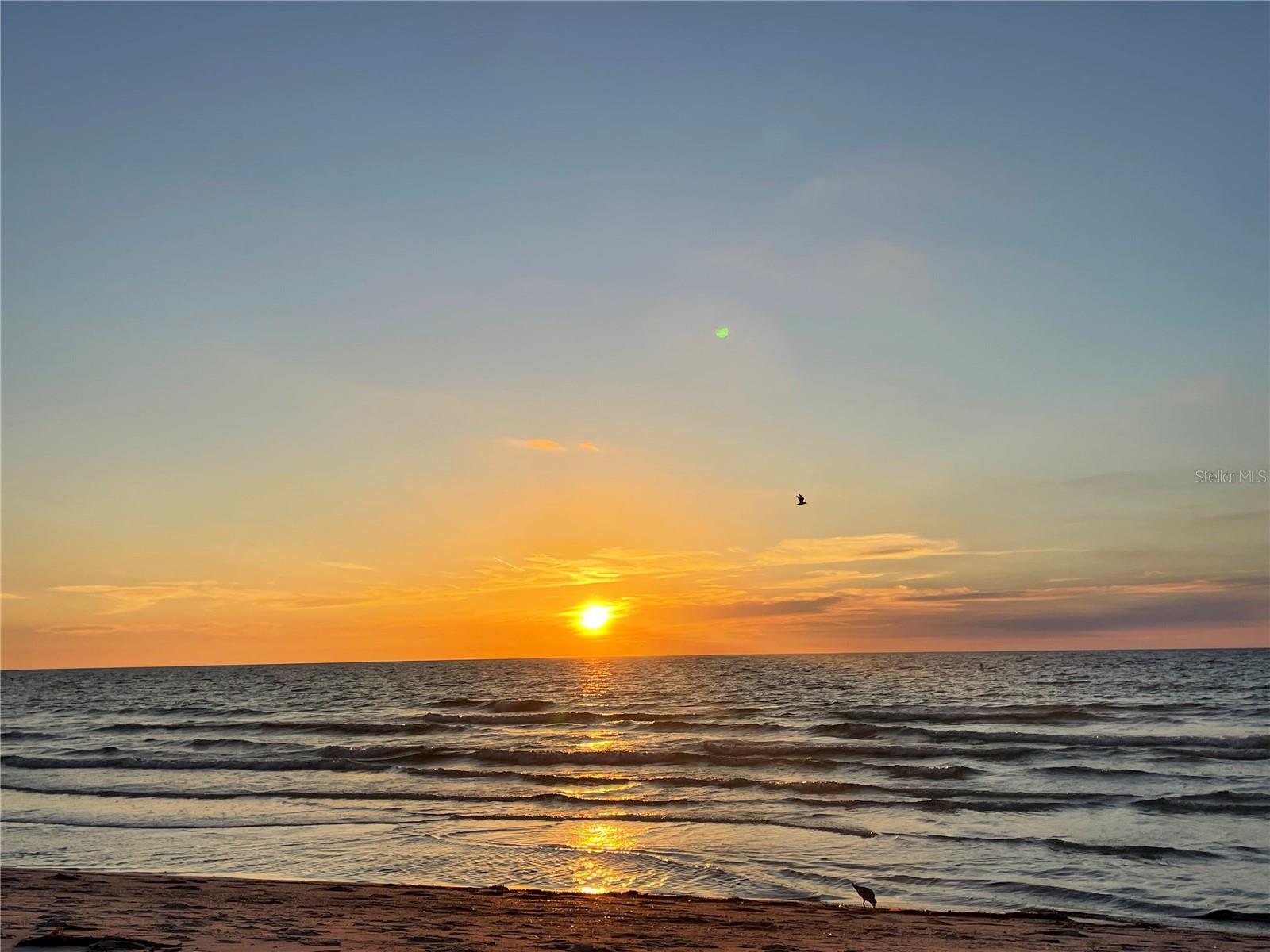 LIGHTHOUSE TOWERS CONDO - Residential Lease