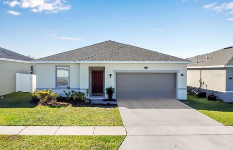 Photo of 3476 Forster Avenue, Leesburg, FL 34748 (MLS # O6360869)