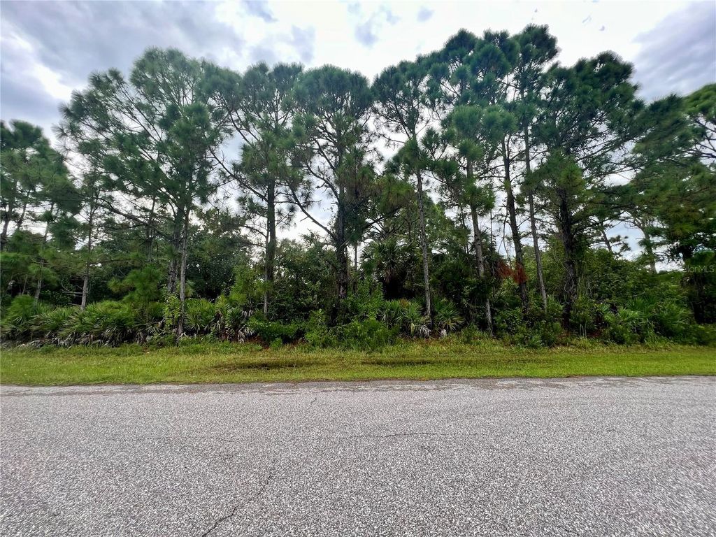 Photo of 5299 Hoffman Street, Port Charlotte, FL 33981 (MLS # C7497995)