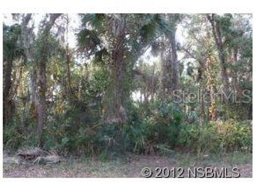 3 Beautiful lots at NW corner of Mango Tree and 20th. 120 x 125 and next to easement for more space. Nice Oaks, palms. Priced to sell! Only 5 minutes to the Indian River; lots of parks & boat ramps, great for fishing, crabbing. Enjoy walking or biking along Riverside Dr. on the paved riverfront sidewalk. Stroll past Historic & charming homes & watch the Yachts go by! Only 10 minutes to Atlantic Ocean & the beach.; Cleared: No ;Water: Available at Site