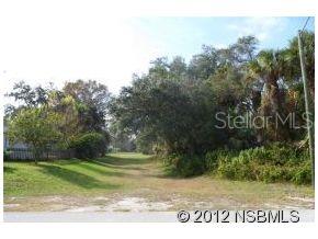 Florida Shores 01 - Land