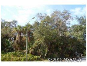 Florida Shores 01 - Land