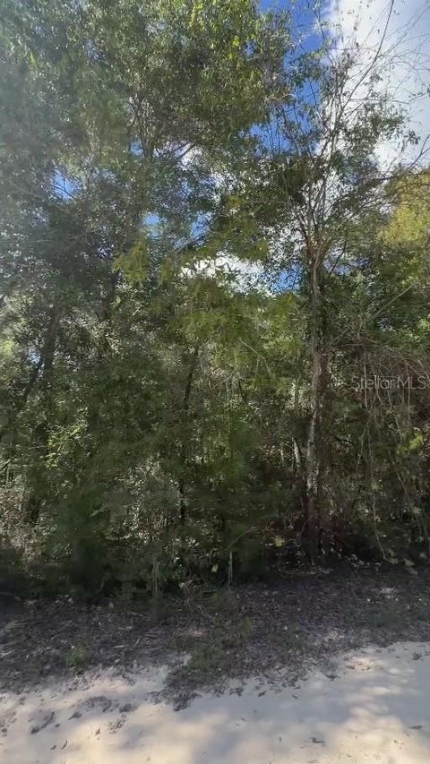 Tiny photo for NE 141st Avenue, Williston, FL 32696 (MLS # TB8562180)