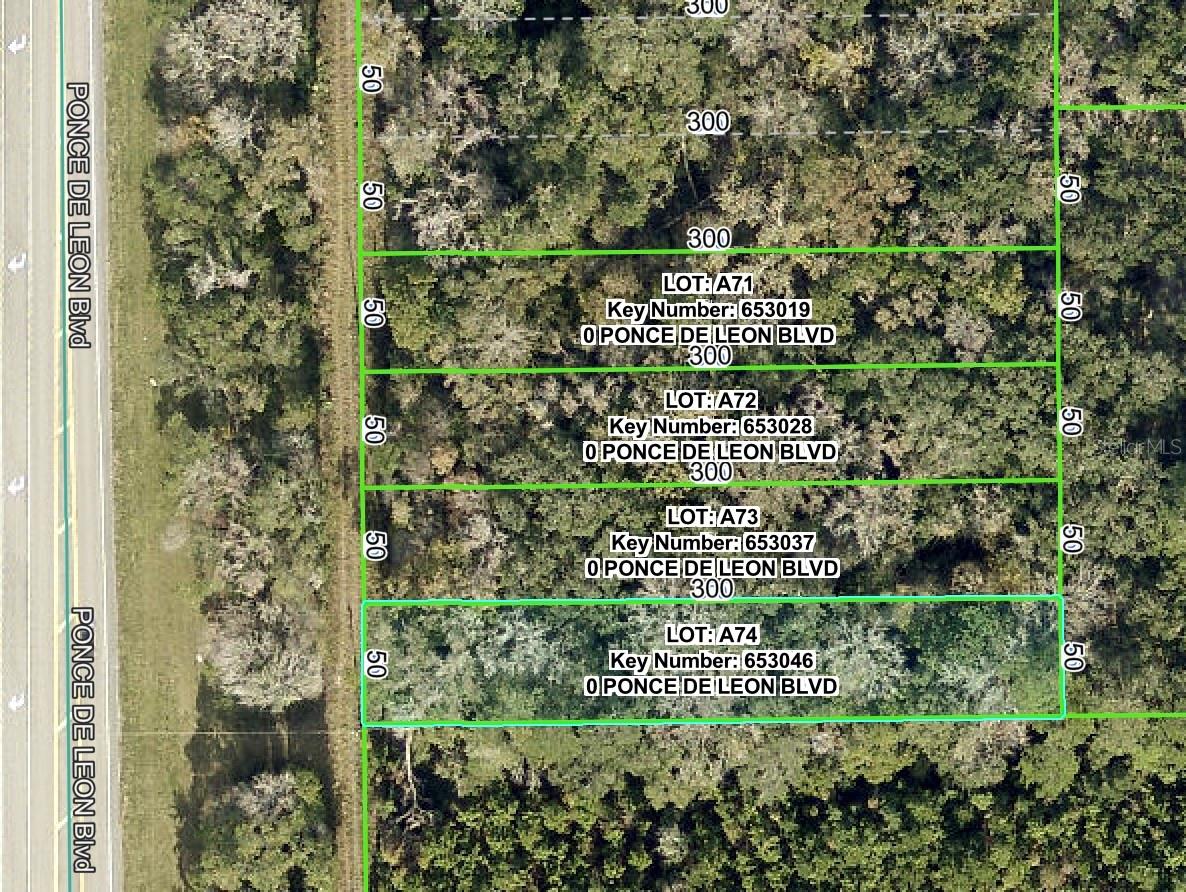 This .34 acre parcel that is the easement for the power lines. Zoned AG. You cannot build on it...but you can play on it and use it for your enjoyment. Best buyer is a home-owner whose lot adjoins it or hold it for possible future investment.
The power company must have access to it at all times for maintenance. Cash only. The property is being transferred with a quit claim deed with no owner's title policy, and if the buyer wants any other deed or title policy, they have to pay for those closing costs