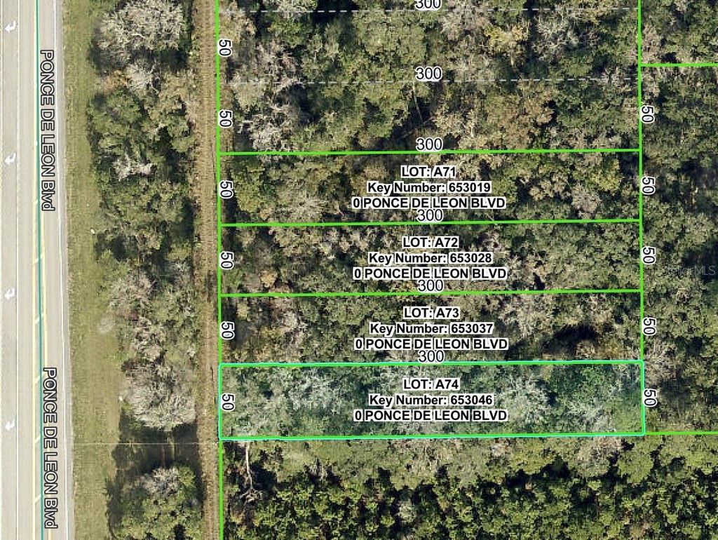 Photo of Ponce De Leon Boulevard, Brooksville, FL 34601 (MLS # W7879524)