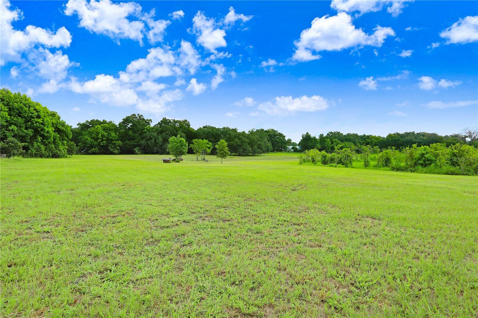 Come one come ALL!! 13.5 acres filled with wildlife, blackberries, loquats and elderberry trees. This property will include 3 vacant lots neighboring 37352 Trilby Road including 27-23-21-0000-02300-0010 (11.06 acres), 27-23-21-0040-01400-0010 (1.59 acres), 27-23-21-0040-01500-0000 (0.92 acres) totaling 13.5 acres with many potential homesites. Land is zoned R-3-100 with FLU of RES-6 according to Pasco GIS. The smallest lot contains a year-round pond with some surrounding wetlands. Currently there are no utilities on this property but electric is available at the street and county maps indicate municipal water line at Trilby Road (BUYER IS TO CONFIRM). There is 100 ft of road frontage on Trilby with 350 +/- feet of road frontage on Robbins Rd. Lots of potential homesites for an estate sized home or potential development with current zoning. Location is approximately 45 mins to Tampa International Airport & just over an hour to Orlando. The Withlacoochee trail is a few blocks away for the outdoor enthusiast to enjoy endless hiking and biking. Very convenient location while being in the country with NO HOA & deed restrictions. Buyer is to complete DUE DILIGENCE and confirm all information provided. Bring your dreams to life in this nature preserve, the possibilities are endless!! Showing by appointment only.