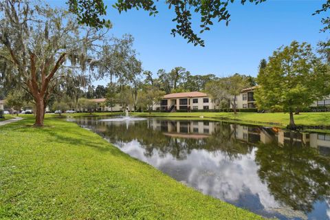 A home in PALM HARBOR