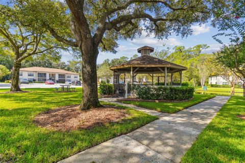 A home in PALM HARBOR