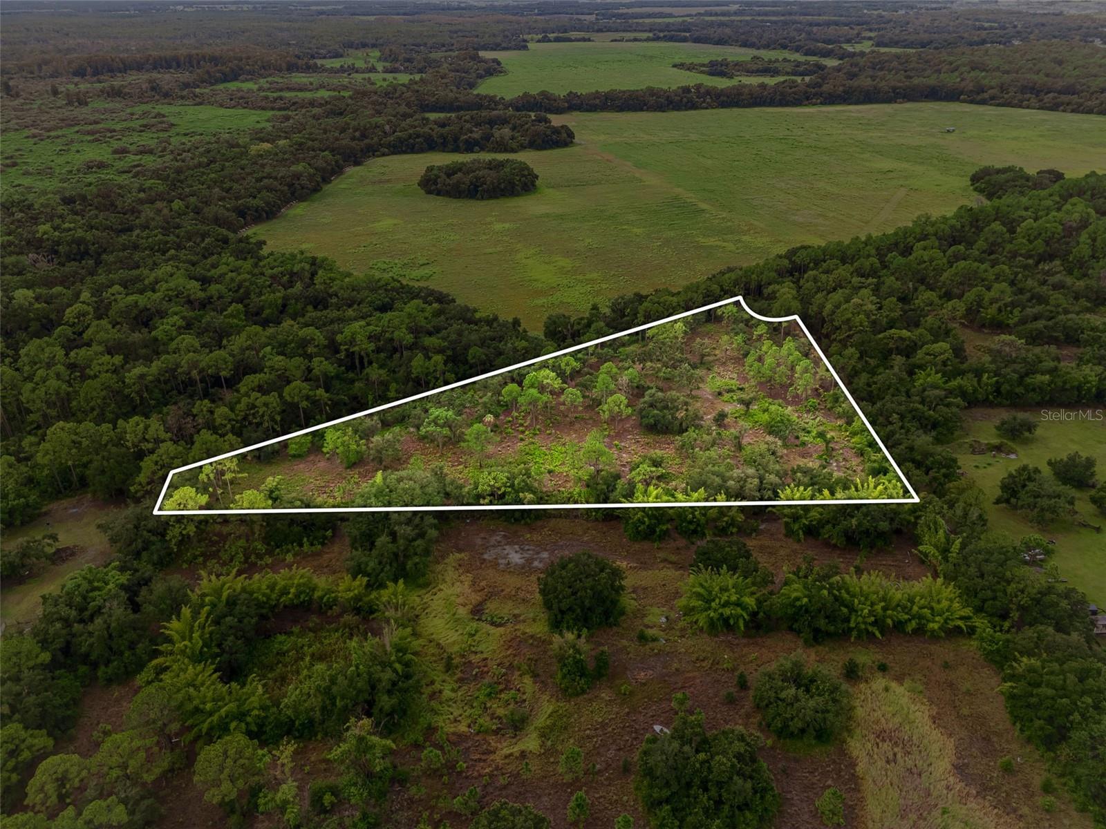 14020 CYPRESS LANE, WIMAUMA, FL, 33598 2 14020 CYPRESS LANE