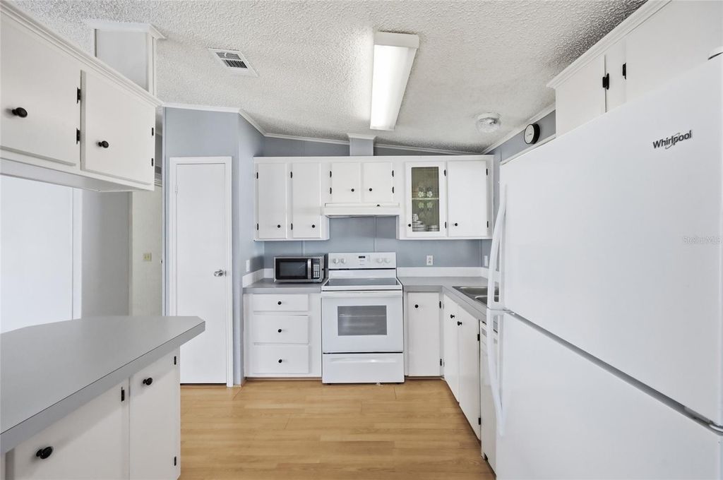 Photo of 25323 Casa Del Lago Lane, Leesburg, FL 34748 (MLS # O6383988)