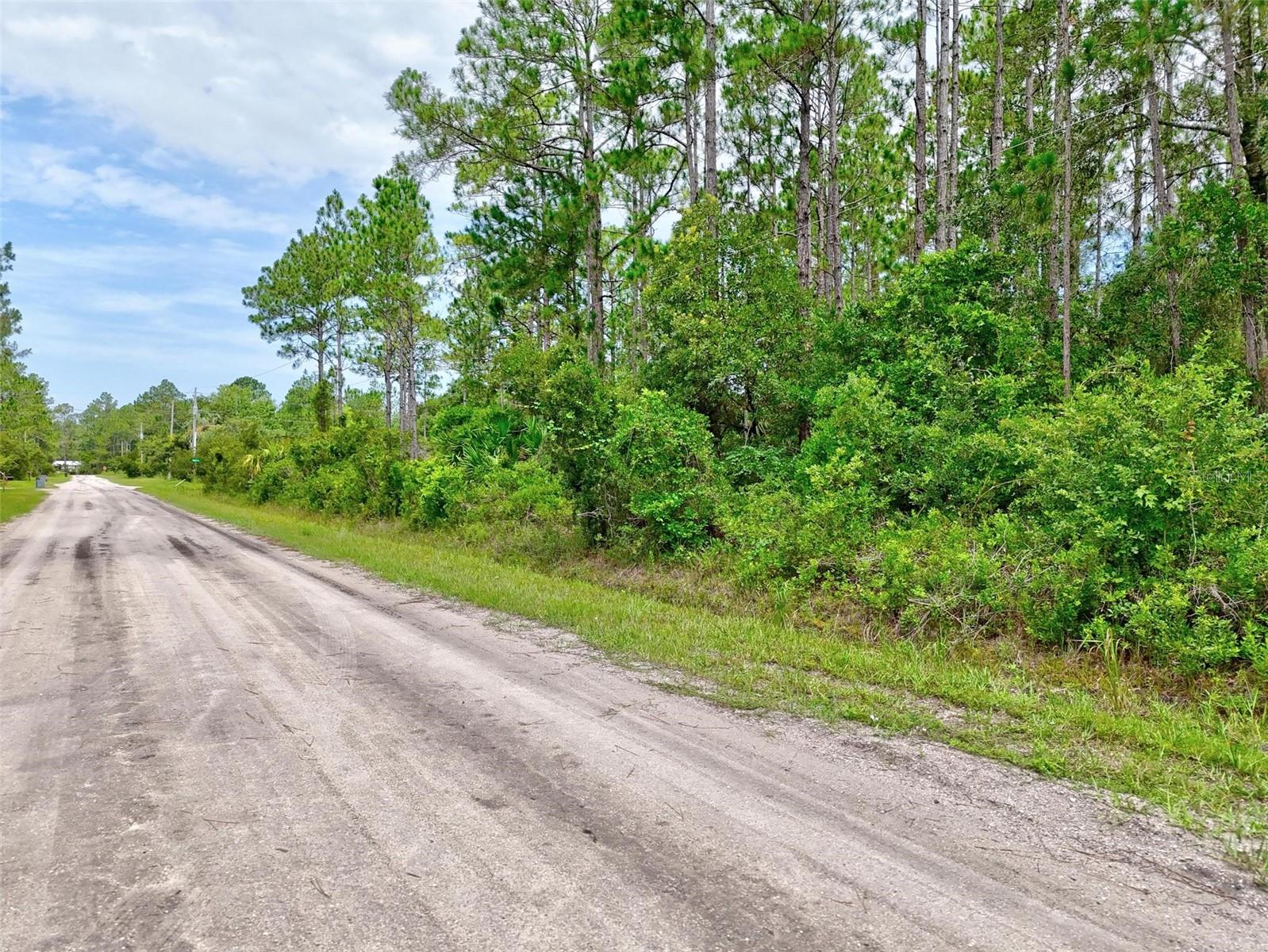 Discover the perfect opportunity to build your dream home or investment property on this spacious vacant lot in Bunnell, FL. Located in a peaceful area with plenty of space for privacy, this lot offers just under an acre of land, ideal for a custom home, mobile home, or future development. Enjoy the charm of small-town living while still being close to shopping, dining, and the beautiful Florida coastline. Don’t miss this chance to own a piece of land in growing Flagler County! No time limit to build and no HOA.