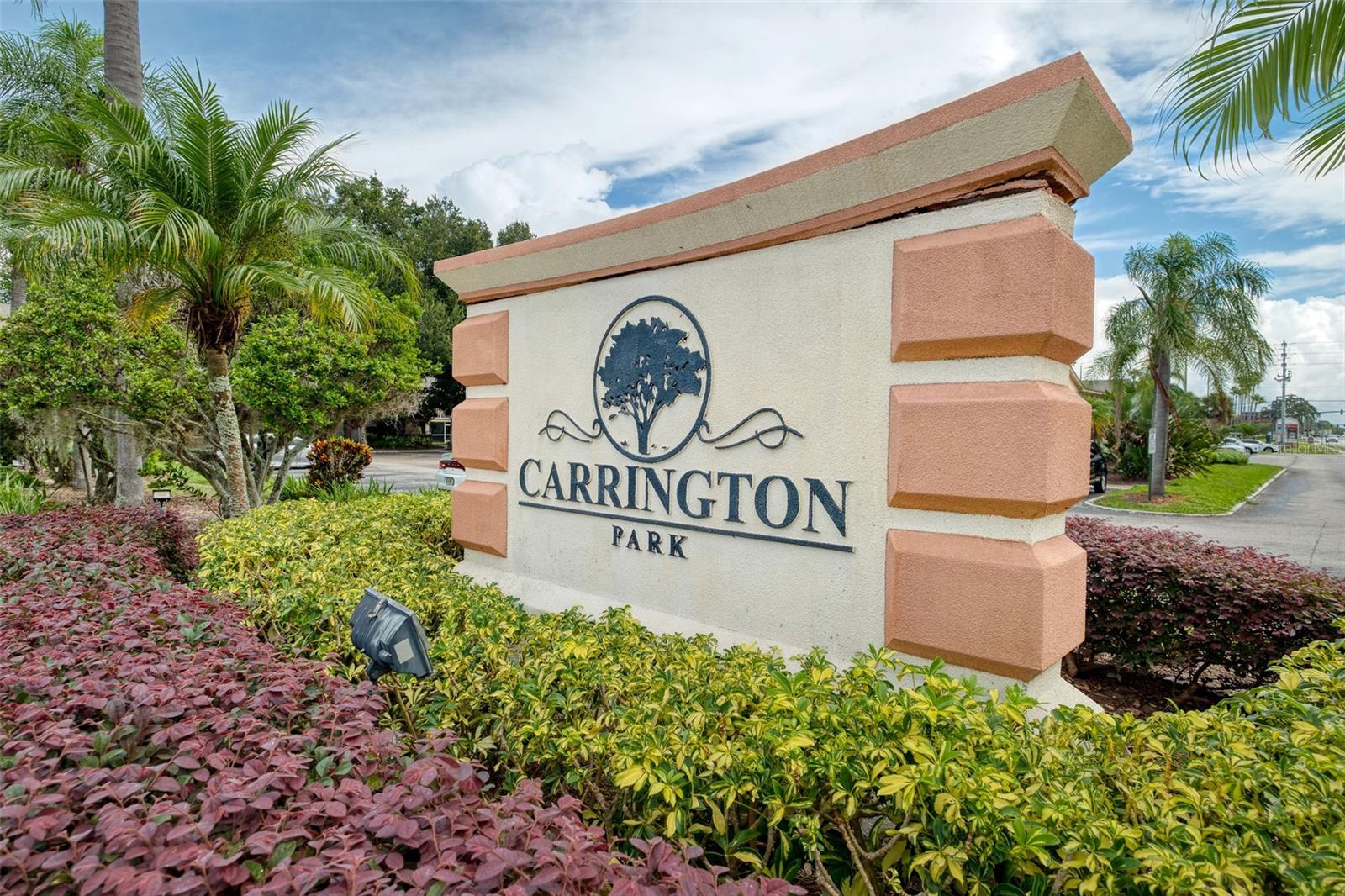 CARRINGTON PARK A CONDO - Residential