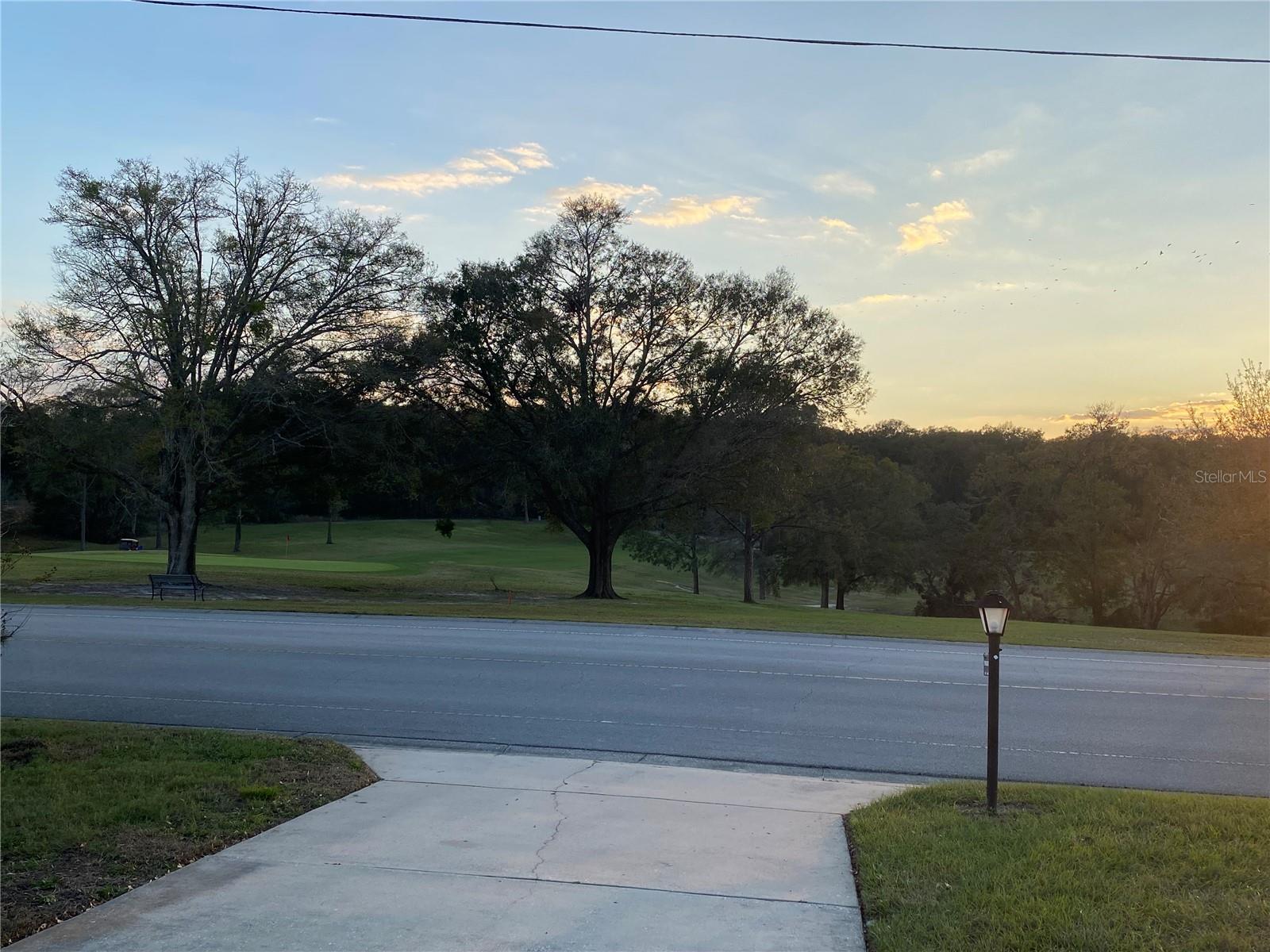 ZELLWOOD STATION COOP MH PARK - Residential