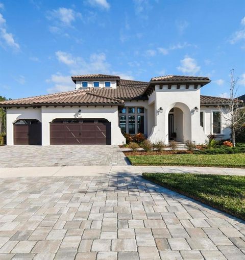 Photo of 16165 November Rain Court, Land O Lakes, FL 34638 (MLS # W7883716)