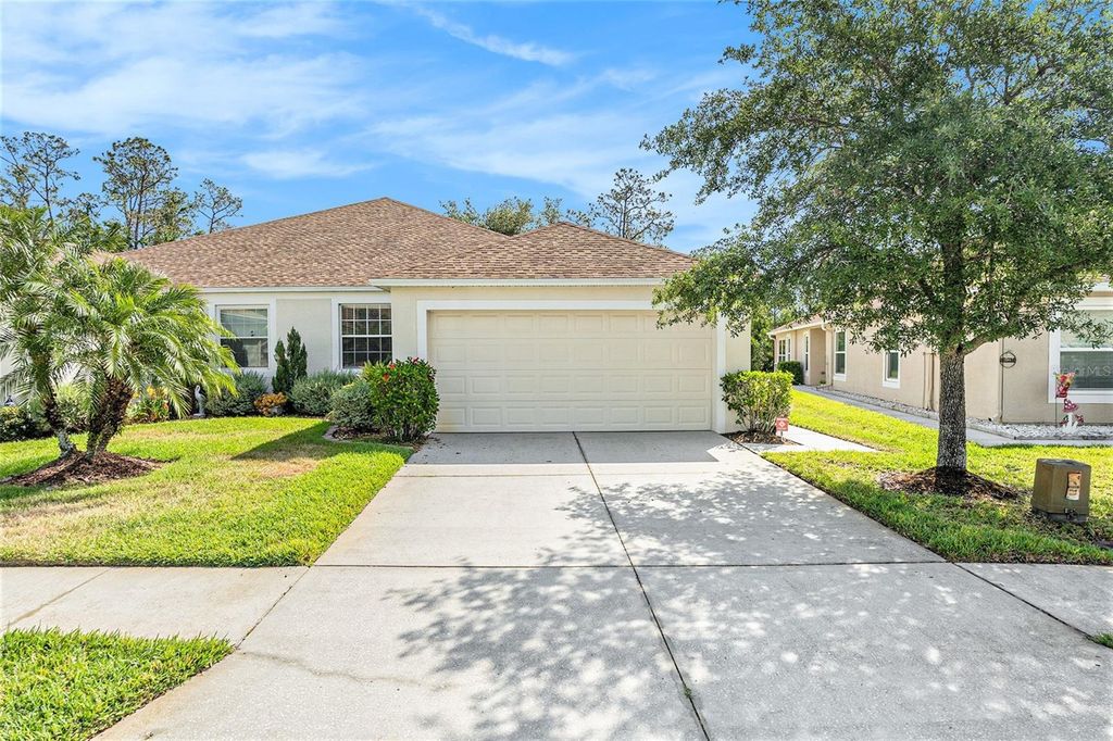 Photo of 5836 Autumn Shire Drive, Zephyrhills, FL 33541 (MLS # TB8382333)