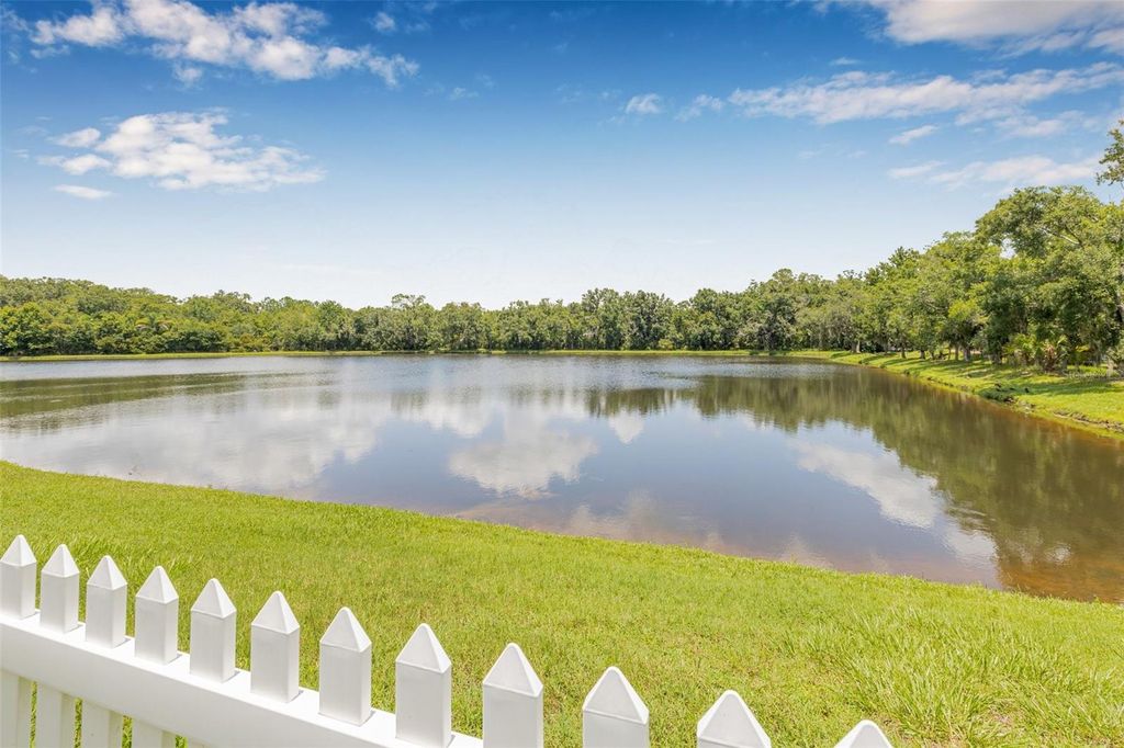 Photo of 3842 Austin Range Drive, Land O Lakes, FL 34639 (MLS # TB8405656)