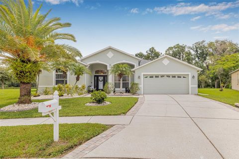 Photo of 3842 Austin Range Drive, Land O Lakes, FL 34639 (MLS # TB8405656)