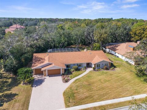 A home in SPRING HILL