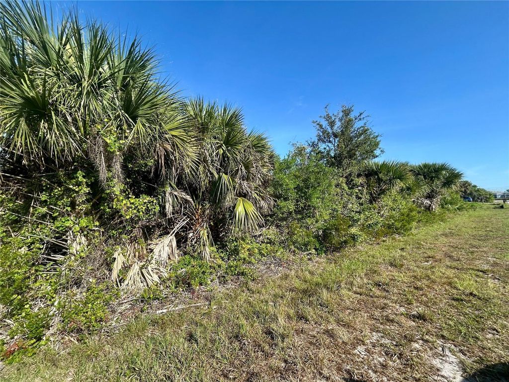 Photo of 10039 Alvarez Street, Port Charlotte, FL 33981 (MLS # A4658847)