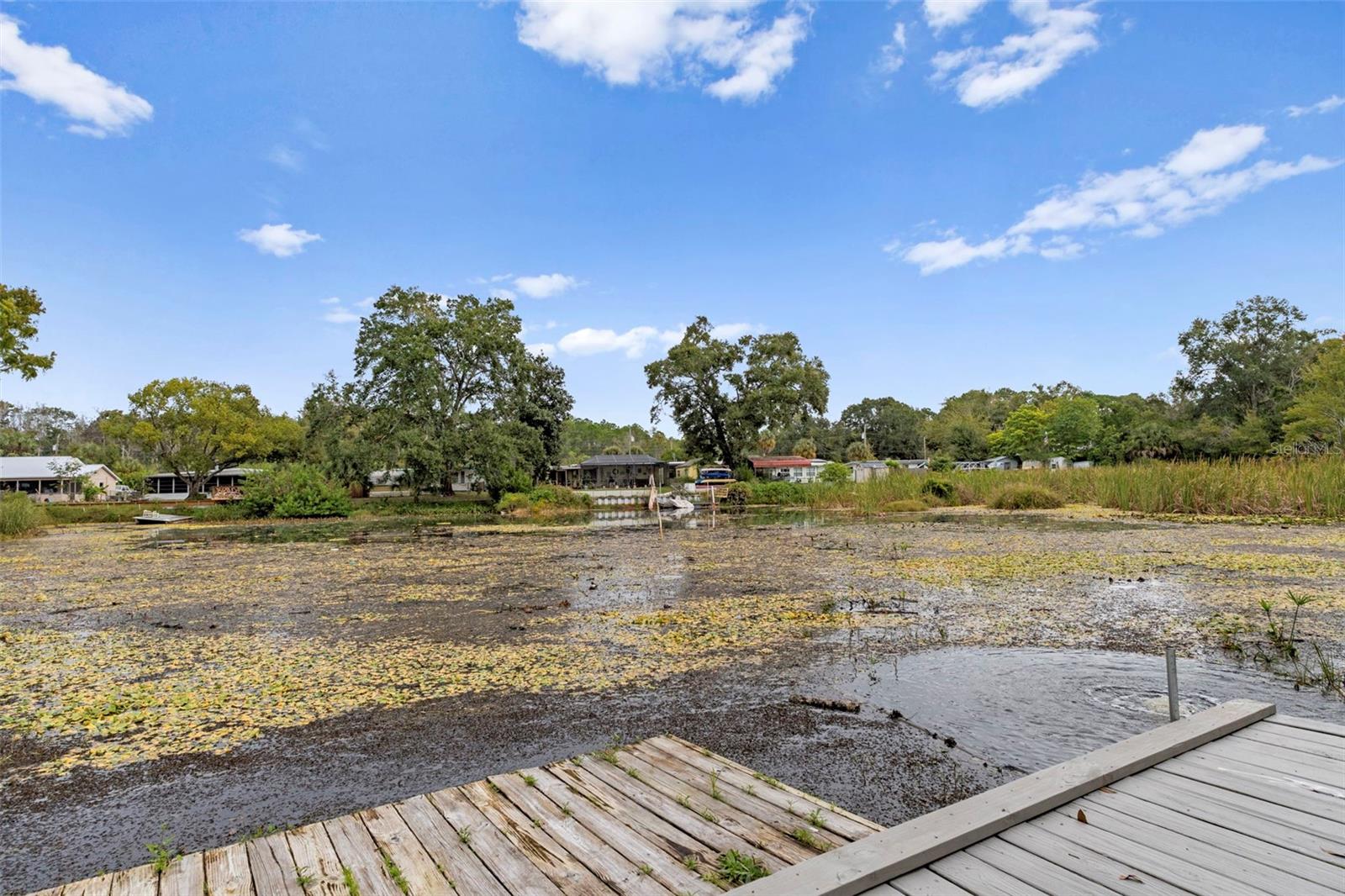 WEEKI WACHEE RIVER EST  UN1 - Residential