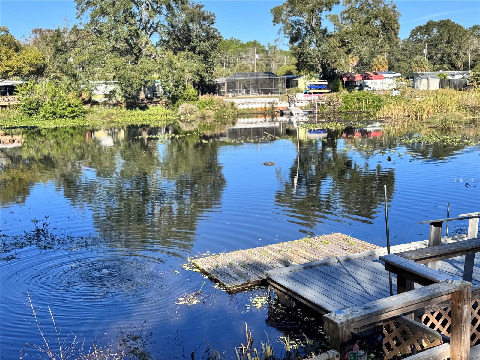 WEEKI WACHEE RIVER EST  UN1 - Residential