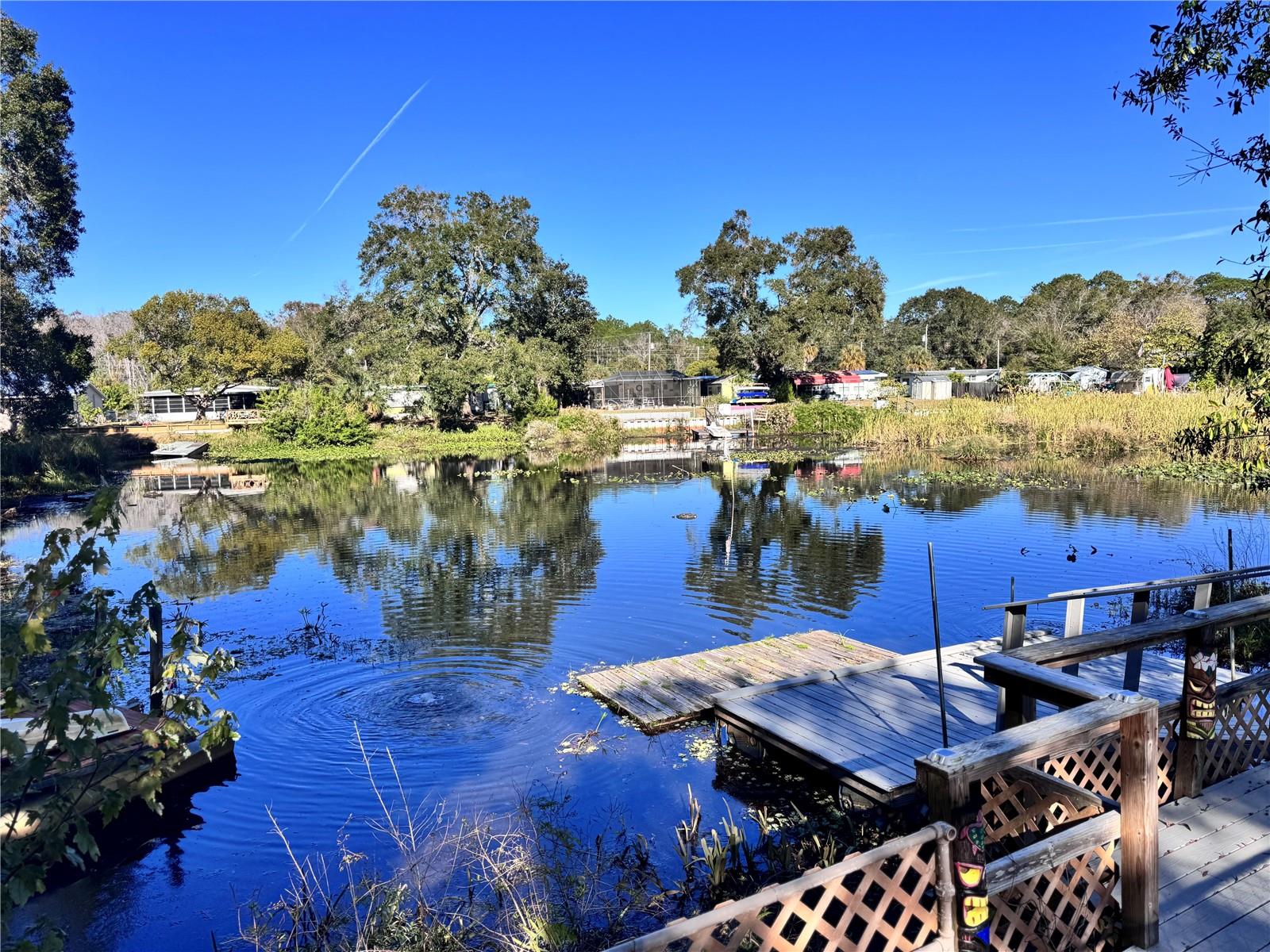 WEEKI WACHEE RIVER EST  UN1 - Residential